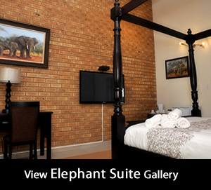 Elephant Suite gallery at Montana Guesthouse
